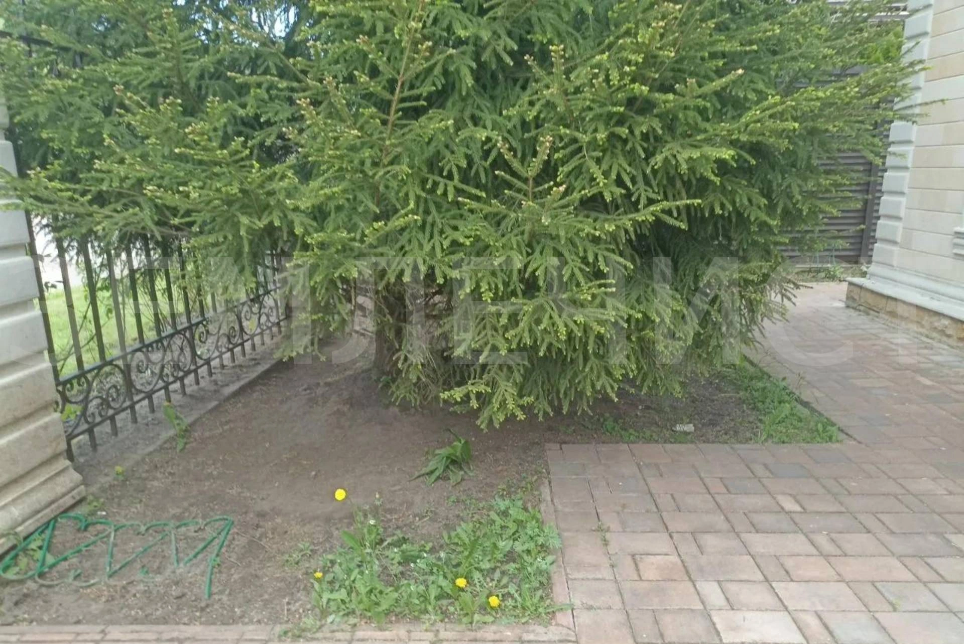 Ландшафтный дизайн участка в Жуковском — до